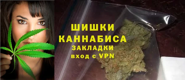 ГАЛЛЮЦИНОГЕННЫЕ ГРИБЫ Инта