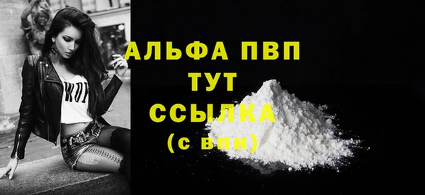 ГАЛЛЮЦИНОГЕННЫЕ ГРИБЫ Инта