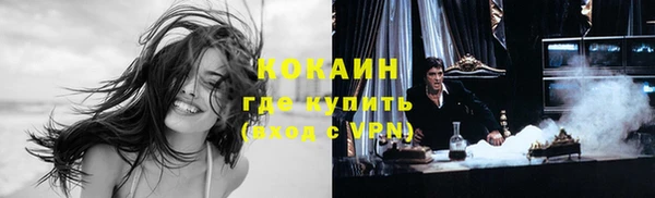 ГАЛЛЮЦИНОГЕННЫЕ ГРИБЫ Инта
