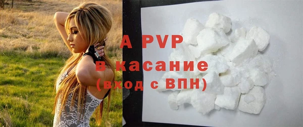 ГАЛЛЮЦИНОГЕННЫЕ ГРИБЫ Инта