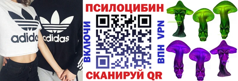 Галлюциногенные грибы Magic Shrooms  Купить где  Лагань 